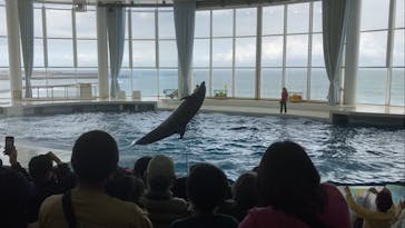アクアワールド茨城県大洗水族館に投稿された画像（2023/3/21）