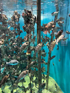 仙台うみの杜水族館に投稿された画像（2023/3/21）
