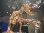 特別展「恐竜博2023」に投稿された画像（2023/3/21）