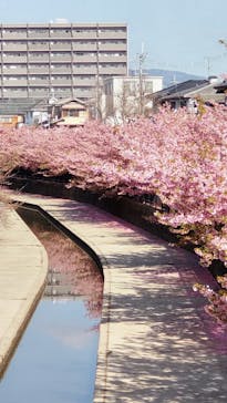 京阪電車に投稿された画像（2023/3/21）