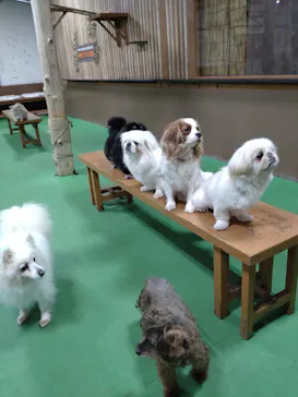 神戸どうぶつ王国に投稿された画像（2023/3/21）