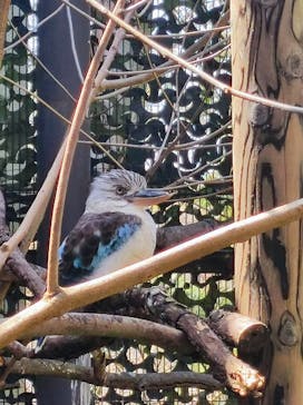 横浜市立金沢動物園に投稿された画像（2023/3/21）