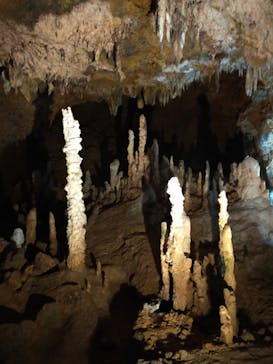 石垣島鍾乳洞に投稿された画像（2023/3/21）