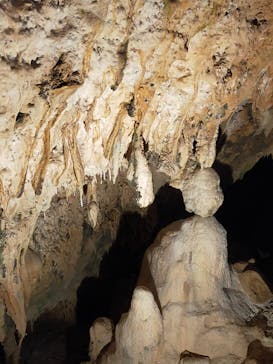 石垣島鍾乳洞に投稿された画像（2023/3/21）