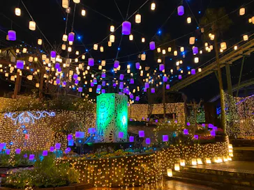 ひらかたパークに投稿された画像（2023/3/21）