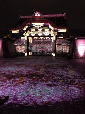 『NAKED FLOWERS 2023 桜 世界遺産・二条城』に投稿された画像（2023/3/21）