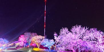 せんだい農業園芸センター　みどりの杜に投稿された画像（2023/3/21）