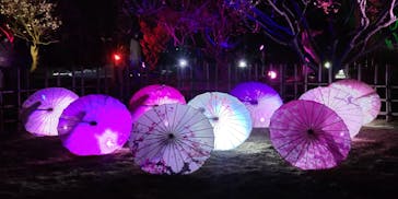 せんだい農業園芸センター　みどりの杜に投稿された画像（2023/3/21）