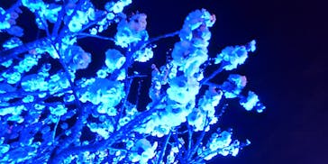 せんだい農業園芸センター　みどりの杜に投稿された画像（2023/3/21）