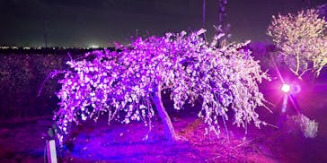 せんだい農業園芸センター　みどりの杜に投稿された画像（2023/3/21）