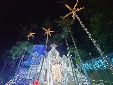 美らヤシパークオキナワ・東南植物楽園に投稿された画像（2023/3/21）