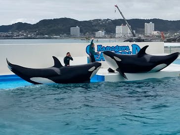 鴨川シーワールドに投稿された画像（2023/3/21）