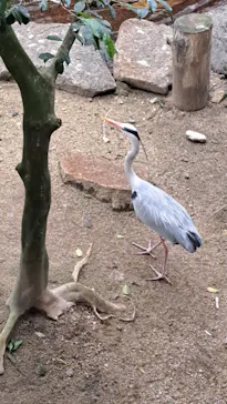 天王寺動物園に投稿された画像（2023/3/22）