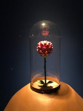 星の王子さまミュージアム 箱根サン=テグジュペリに投稿された画像（2023/3/22）