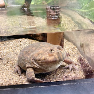 サンシャイン水族館に投稿された画像（2023/3/22）