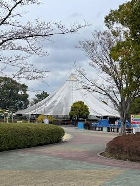 千葉こどもの国 キッズダムに投稿された画像（2023/3/22）