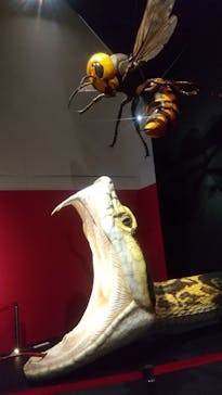 特別展「毒」に投稿された画像（2023/3/22）