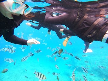 沖縄マリンサービス碧に投稿された画像（2023/3/22）