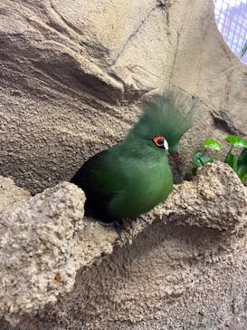 那須どうぶつ王国に投稿された画像（2023/3/22）