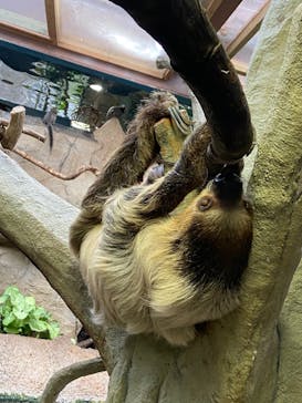 那須どうぶつ王国に投稿された画像（2023/3/22）