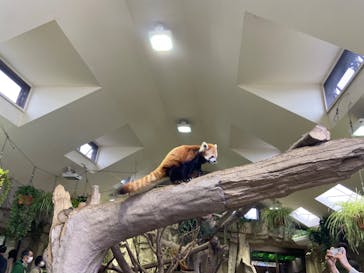 那須どうぶつ王国に投稿された画像（2023/3/22）