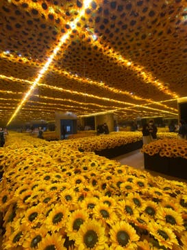 ゴッホ・アライブ神戸に投稿された画像（2023/3/22）