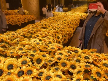 ゴッホ・アライブ神戸に投稿された画像（2023/3/22）