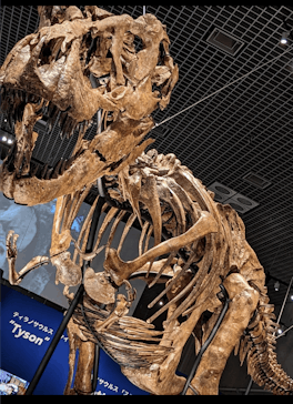 特別展「恐竜博2023」に投稿された画像（2023/3/22）