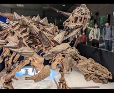 特別展「恐竜博2023」に投稿された画像（2023/3/22）
