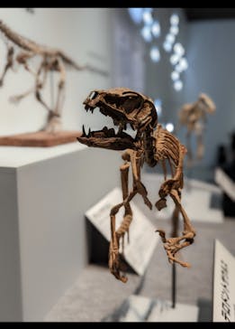 特別展「恐竜博2023」に投稿された画像（2023/3/22）