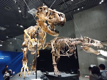 特別展「恐竜博2023」に投稿された画像（2023/3/22）