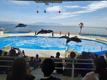 マリンワールド海の中道に投稿された画像（2023/3/22）