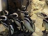 すみだ水族館に投稿された画像（2023/3/22）