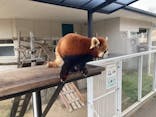 秋吉台自然動物公園 サファリランドに投稿された画像（2023/3/22）