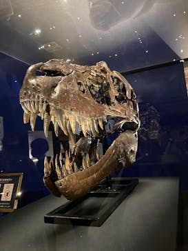 特別展「恐竜博2023」に投稿された画像（2023/3/22）