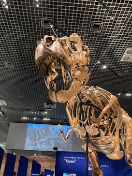 特別展「恐竜博2023」に投稿された画像（2023/3/22）