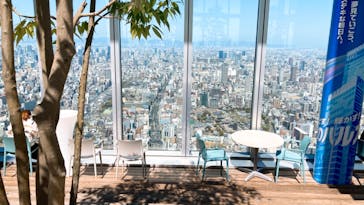 ハルカス300(展望台)に投稿された画像（2023/3/22）