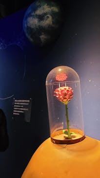 星の王子さまミュージアム 箱根サン=テグジュペリに投稿された画像（2023/3/22）