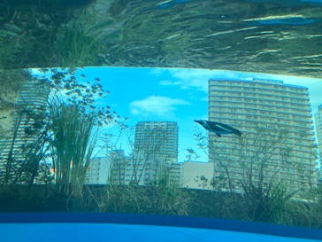 サンシャイン水族館に投稿された画像（2023/3/22）