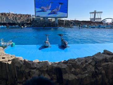 名古屋港水族館に投稿された画像（2023/3/22）