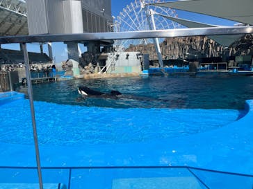 名古屋港水族館に投稿された画像（2023/3/22）