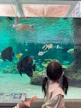 鴨川シーワールドに投稿された画像（2023/3/22）