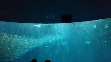 名古屋港水族館に投稿された画像（2023/3/22）