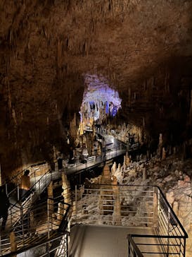 おきなわワールドに投稿された画像（2023/3/21）