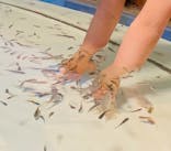 しながわ水族館に投稿された画像（2023/3/22）