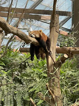 神戸どうぶつ王国に投稿された画像（2023/3/22）