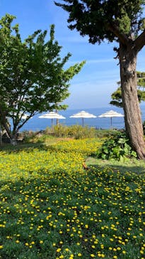 ニューヨークランプミュージアム＆フラワーガーデンに投稿された画像（2023/3/22）