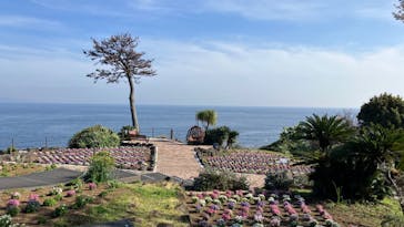 ニューヨークランプミュージアム＆フラワーガーデンに投稿された画像（2023/3/22）