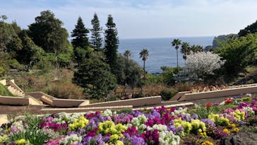 ニューヨークランプミュージアム＆フラワーガーデンに投稿された画像（2023/3/22）