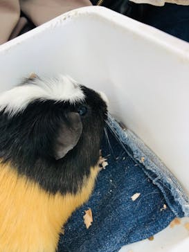 東武動物公園に投稿された画像（2023/3/22）